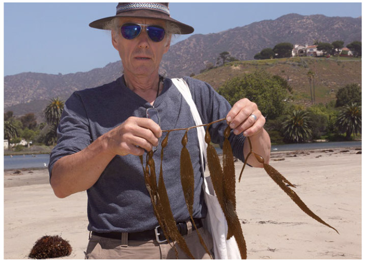 Christopher with a section of kelp RICK ADAMS MARINE GREEN ALGAE Chlorophyta - photo 8