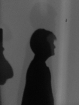 A shadow on a wall of the kind Plato described in his parable of people in a - photo 3