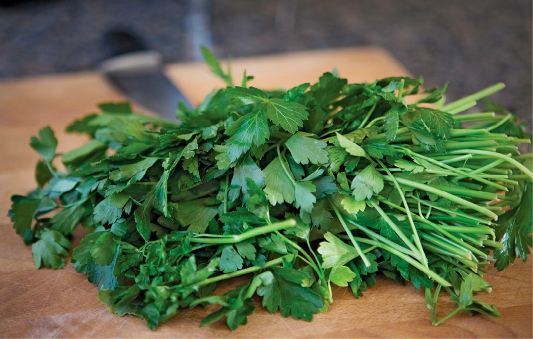 Parsley Parsley plants will reappear in the garden season after season - photo 9