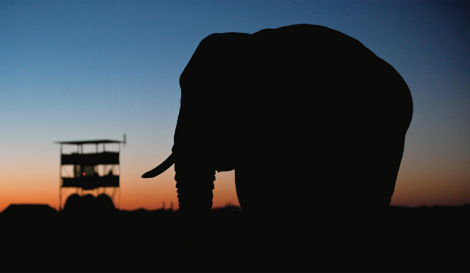 Do you want to help make a difference for elephants Depending on the field - photo 4