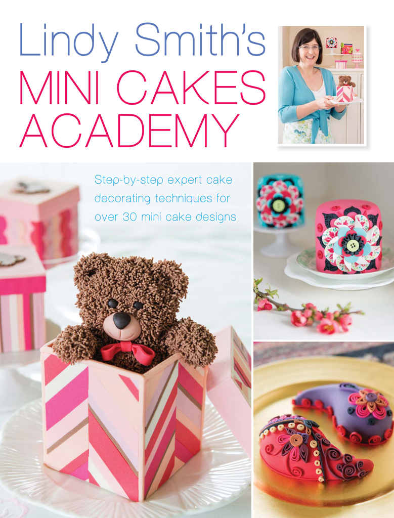 Lindy Smiths Mini Cakes Academy - image 1