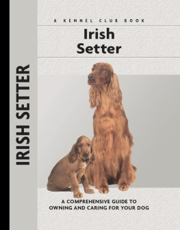 Williams - Irish Setter