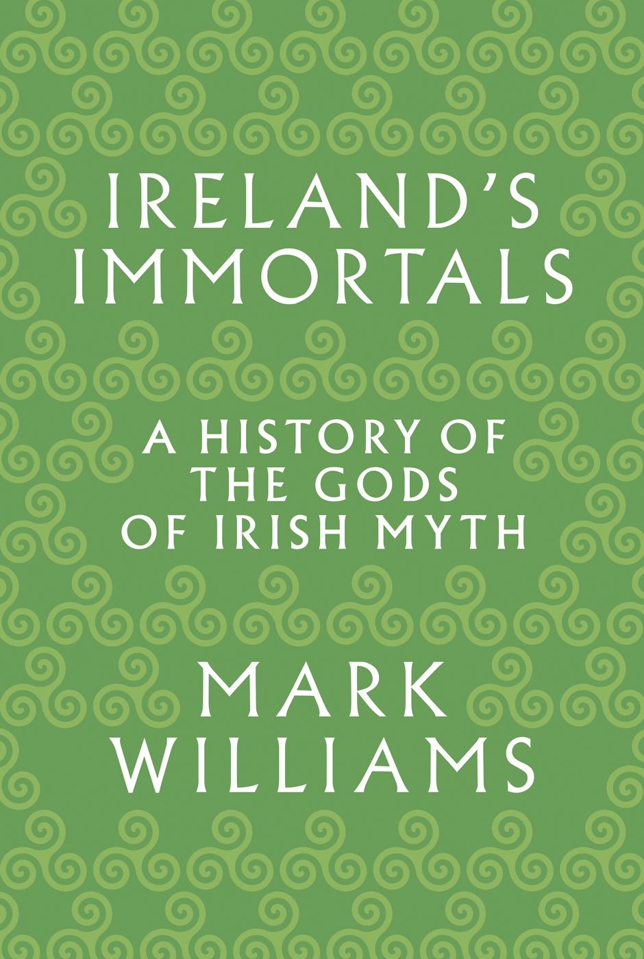 IRELANDS IMMORTALS IRELANDS IMMORTALS A HISTORY OF THE GODS OF IRISH MYTH - photo 1