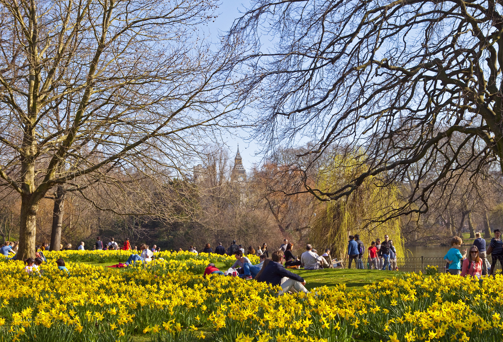 St Jamess Park in the heart of London is popular for its well-groomed flower - photo 7