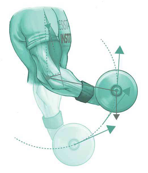 FOUNDATIONS OF EXERCISE MECHANICS - 4 INTRODUCCIN A L FOUNDA OS - photo 1