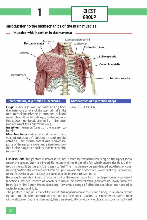 Strength Training Exercises - photo 22