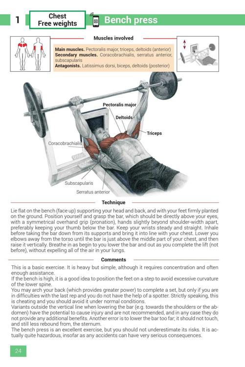 Strength Training Exercises - photo 24