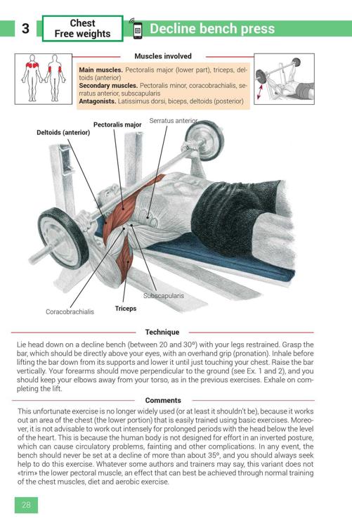 Strength Training Exercises - photo 28