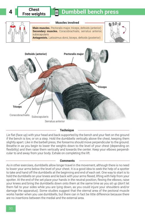 Strength Training Exercises - photo 30