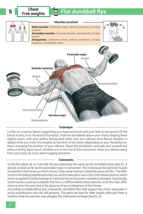 Strength Training Exercises - photo 32