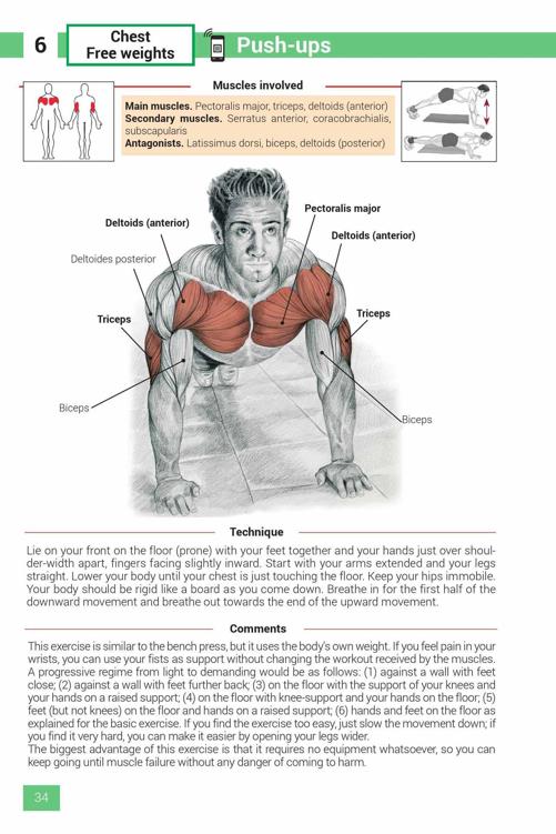 Strength Training Exercises - photo 34