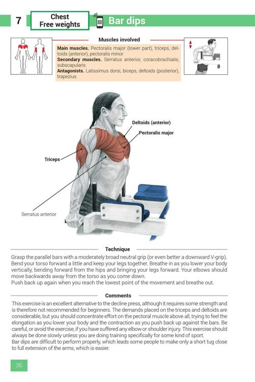 Strength Training Exercises - photo 36