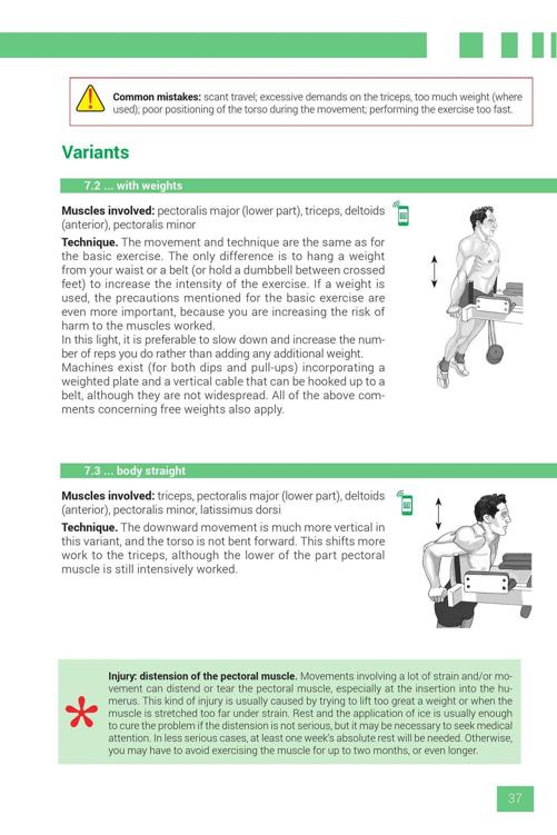 Strength Training Exercises - photo 37