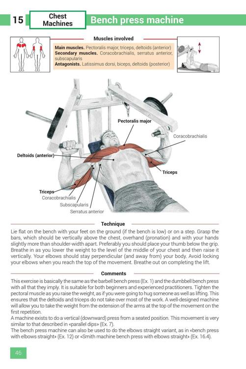 Strength Training Exercises - photo 46