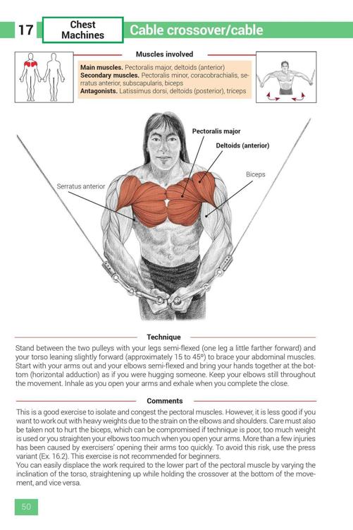 Strength Training Exercises - photo 50