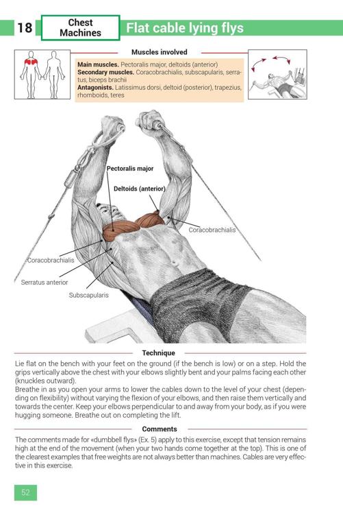 Strength Training Exercises - photo 52