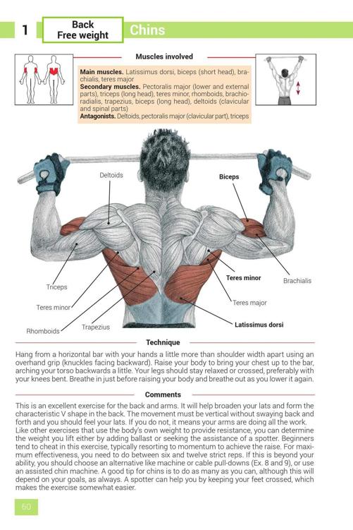 Strength Training Exercises - photo 60