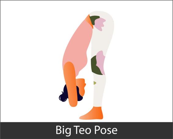 What is Big Toe Pose Large Toe Posture is standing ahead flex that stretches - photo 4