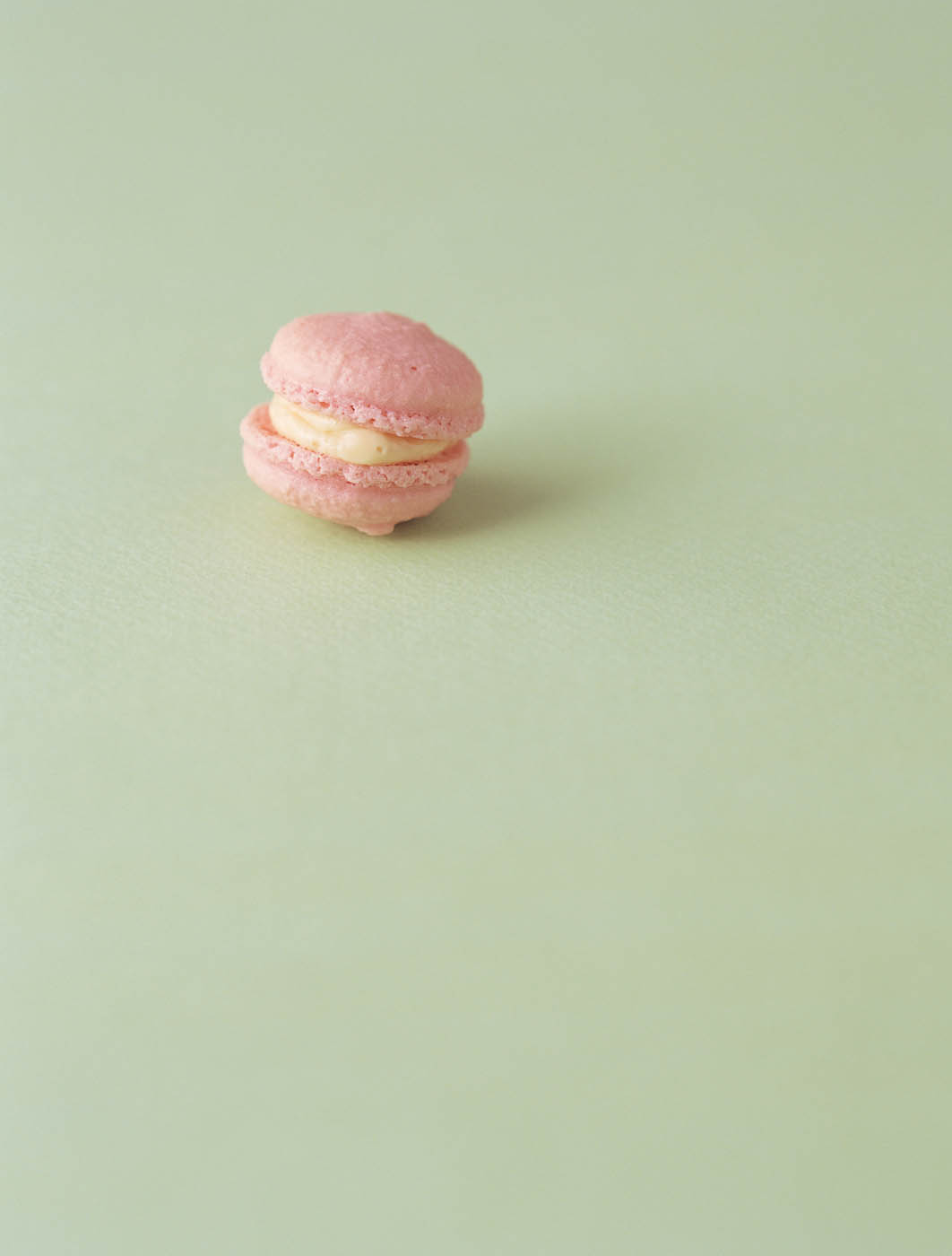 CONTENTS PREFACE Macarons Their white pink yellow green and various - photo 4