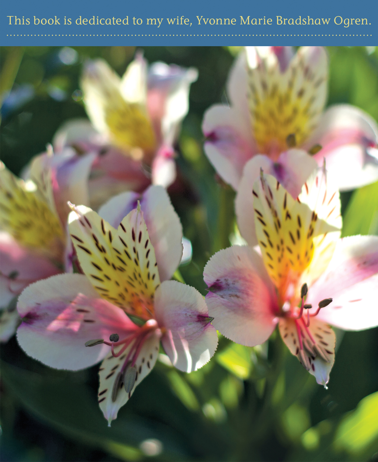 Alstroemeria sp Foreword V ery rarely do we come across an idea that is - photo 8