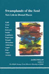 title Swamplands of the Soul New Life in Dismal Places Studies in - photo 1