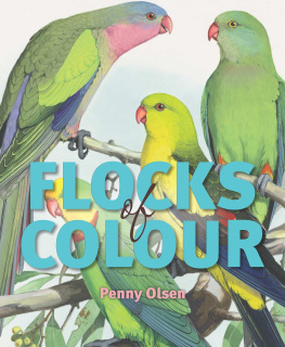 Olsen - Flocks of Colour