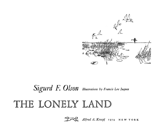 The lonely land - image 2