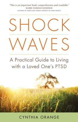 Orange - Shock waves: a practical guide to living with a loved ones PTSD