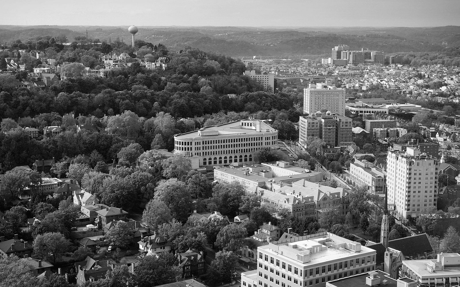 The Schenley Experiment A Social History of Pittsburghs First Public High - photo 2