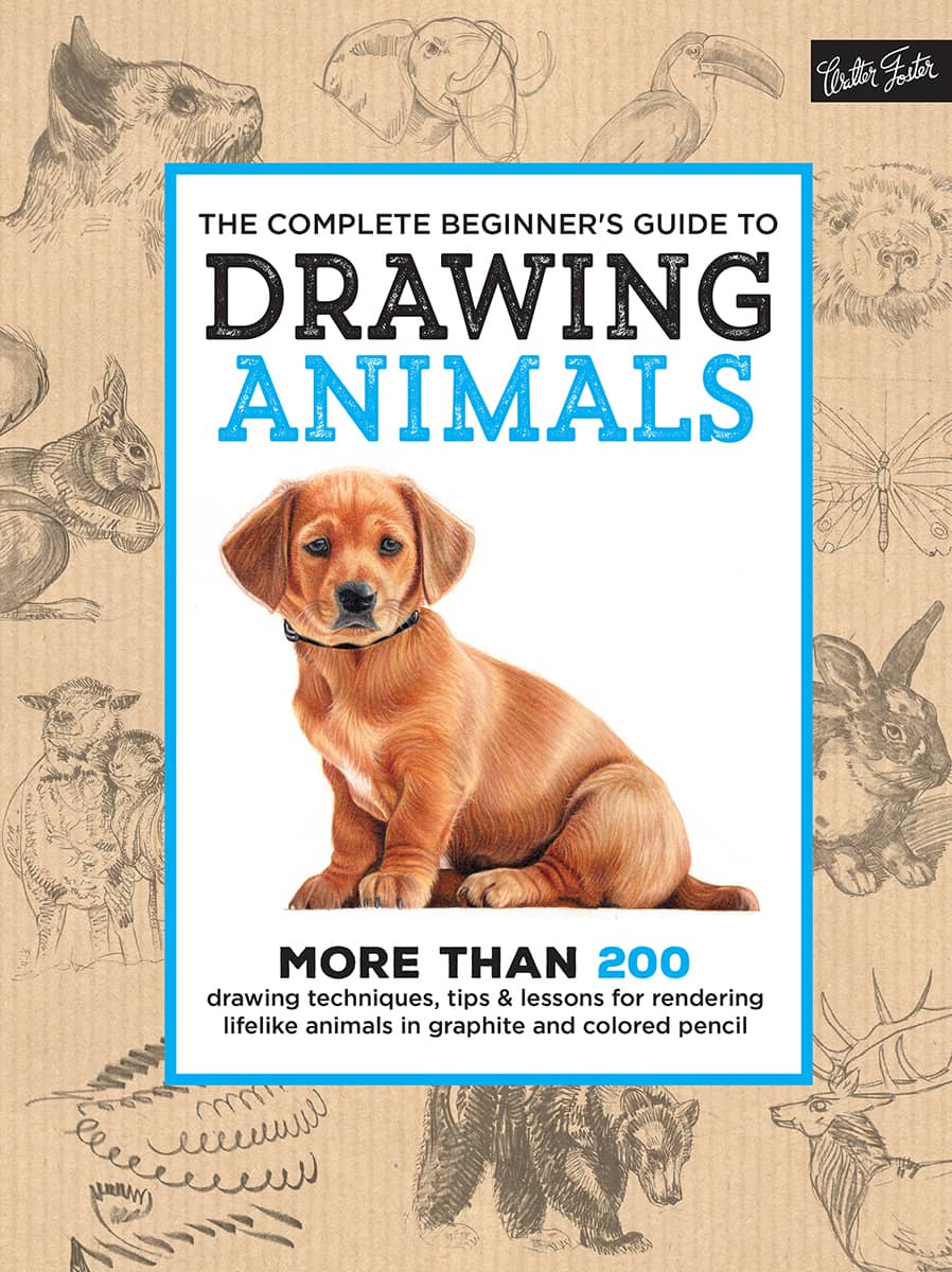 THE COMPLETE BEGINNERS GUIDE TO DRAWING ANIMALS OBSERVING DRAWING ANIMALS - photo 1