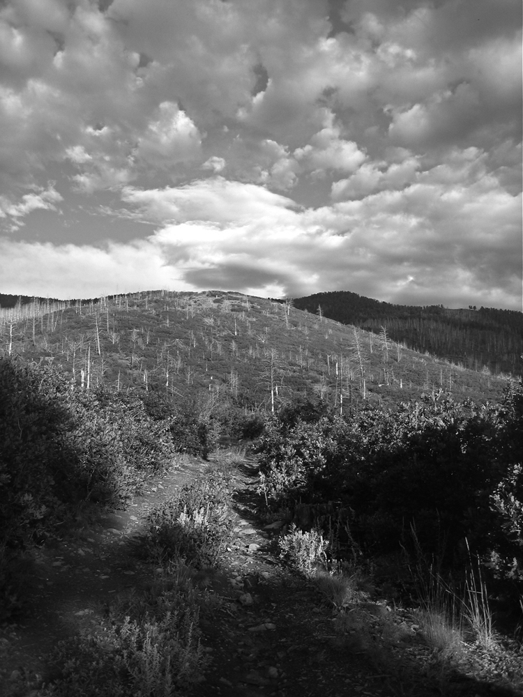 Reweaving the Path Lama New Mexico 1 Introduction If you stand right fronting - photo 1