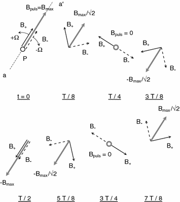 Fig 12 Representation of a pulsating field created by sinusoidal current with - photo 2