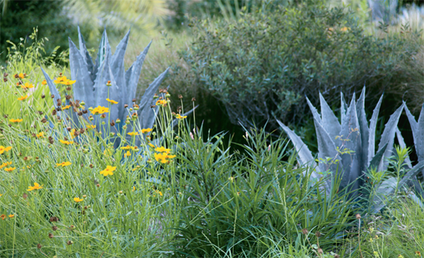 The notion of what makes a visually presentable front yard is steadily changing - photo 6