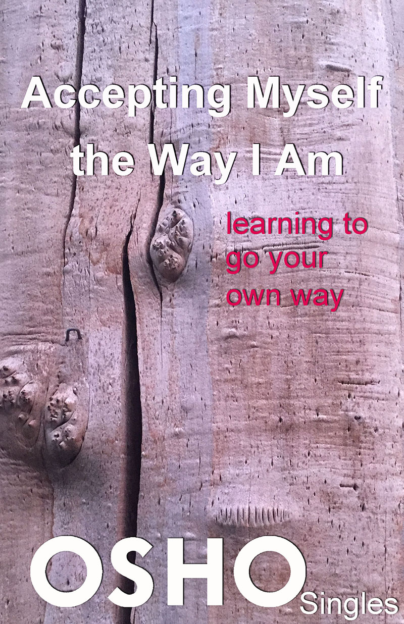 Accepting Myself the Way I Am learning to go your own way ISBN - photo 1