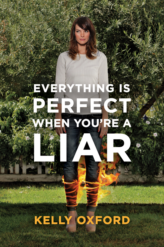 Everything Is Perfect When Youre a Liar - image 1