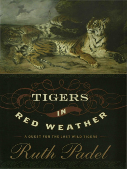 Padel - Tigers In Red Weather: a Quest for the Last Wild Tigers
