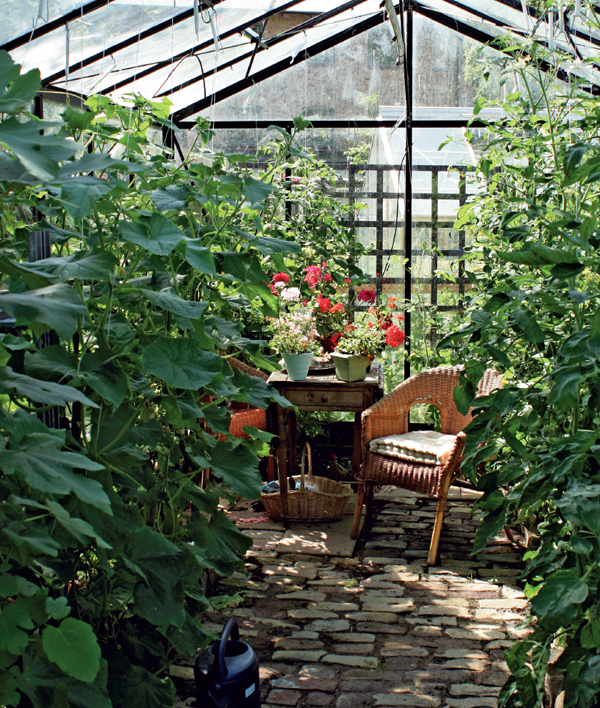 ACQUIRING A GREENHOUSE A greenhouse is a fantastic asset It offers many - photo 9