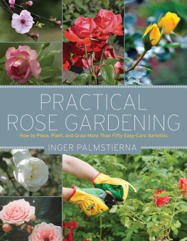 Palmstierna Inger - Practical rose gardening: how to place, plant, and grow more than fifty easy-care varieties