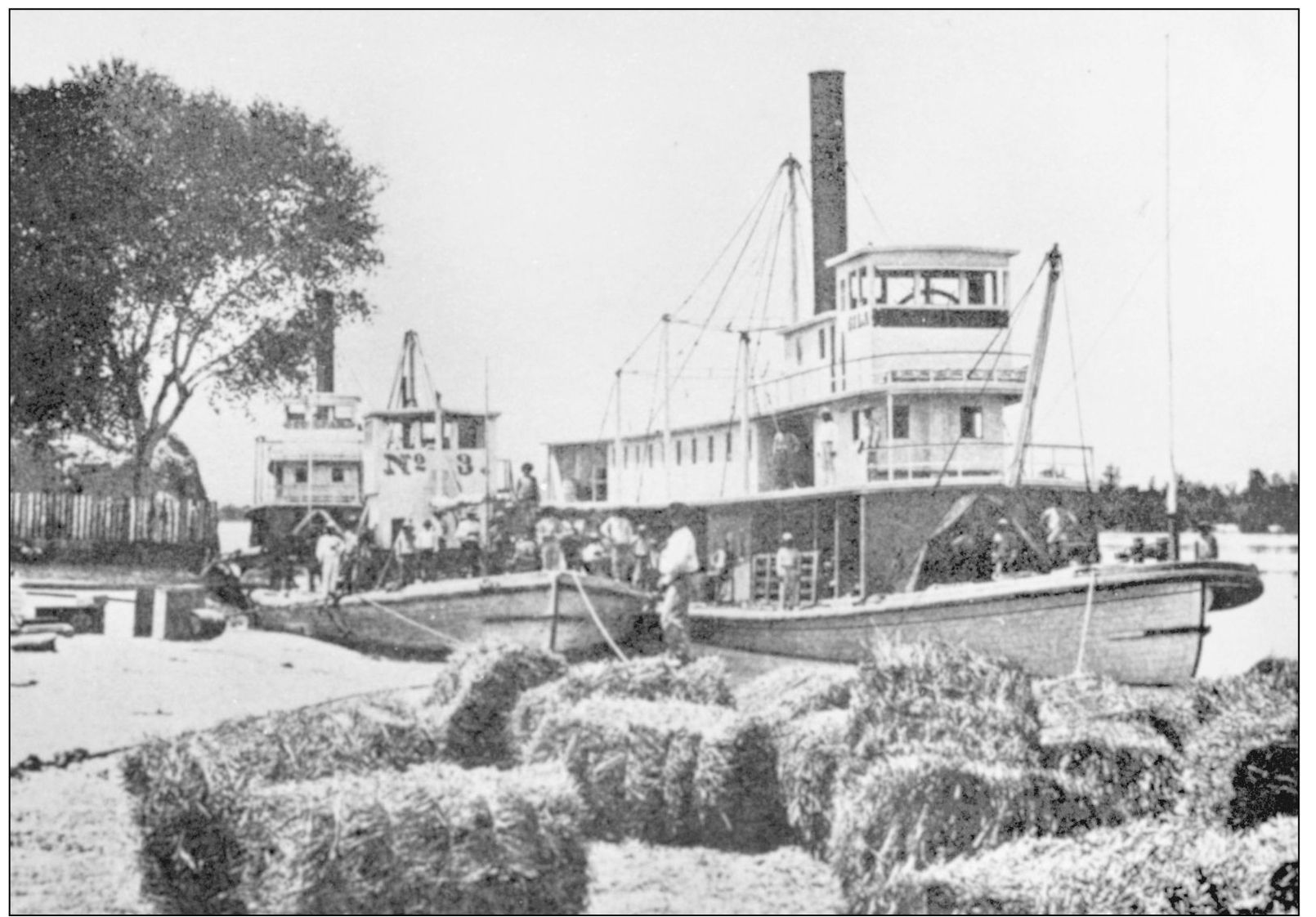 The steamboats pictured here Gila and Cocopah traveled up the Colorado River - photo 8