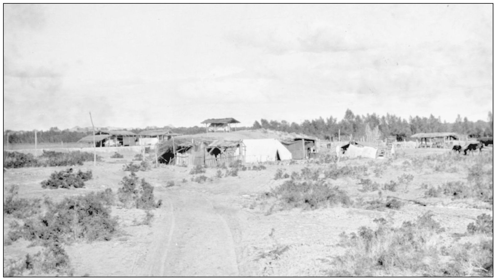 This is an early homestead somewhere in the Palo Verde Valley James - photo 13