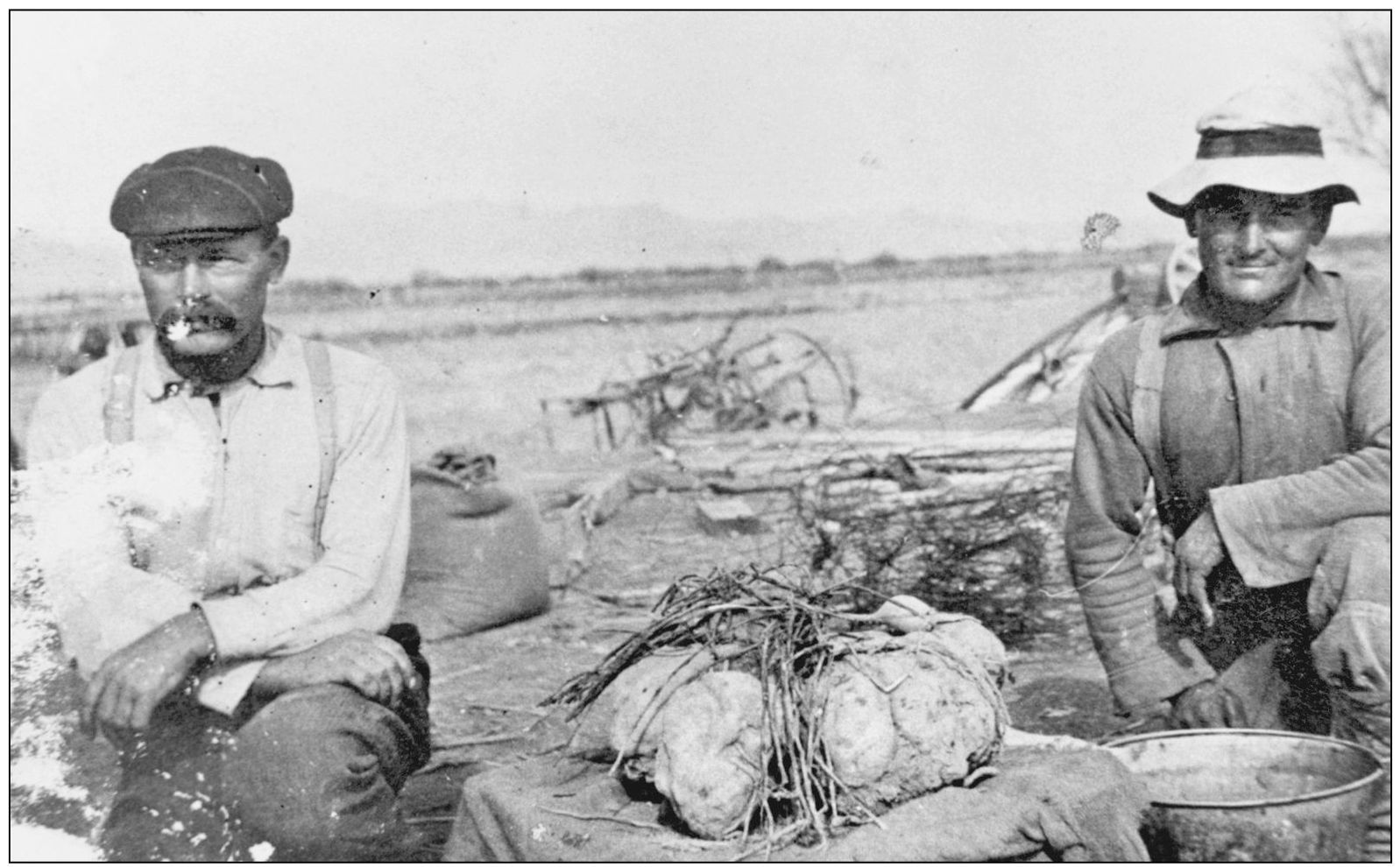 Pictured here in 1908 are Al and Basil DeMeyer Note the sweet potatoes on the - photo 15