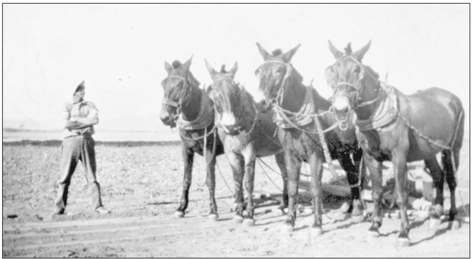 Jack Marlowe came to the valley in 1904 and farmed here his whole life He is - photo 16