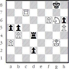 But not 5Kf3 when the pawn queens with check 5Rg4 A last ditch - photo 13