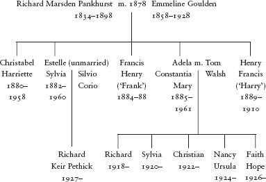 Introduction The Pankhursts are at one and the same time very familiar and yet - photo 2