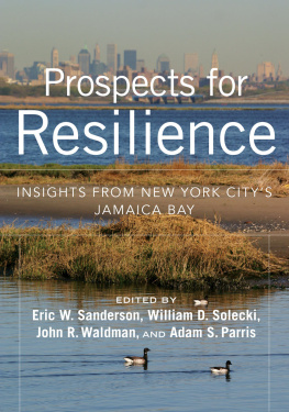 Parris Adam S. - Prospects for resilience: insights from New York Citys Jamaica Bay