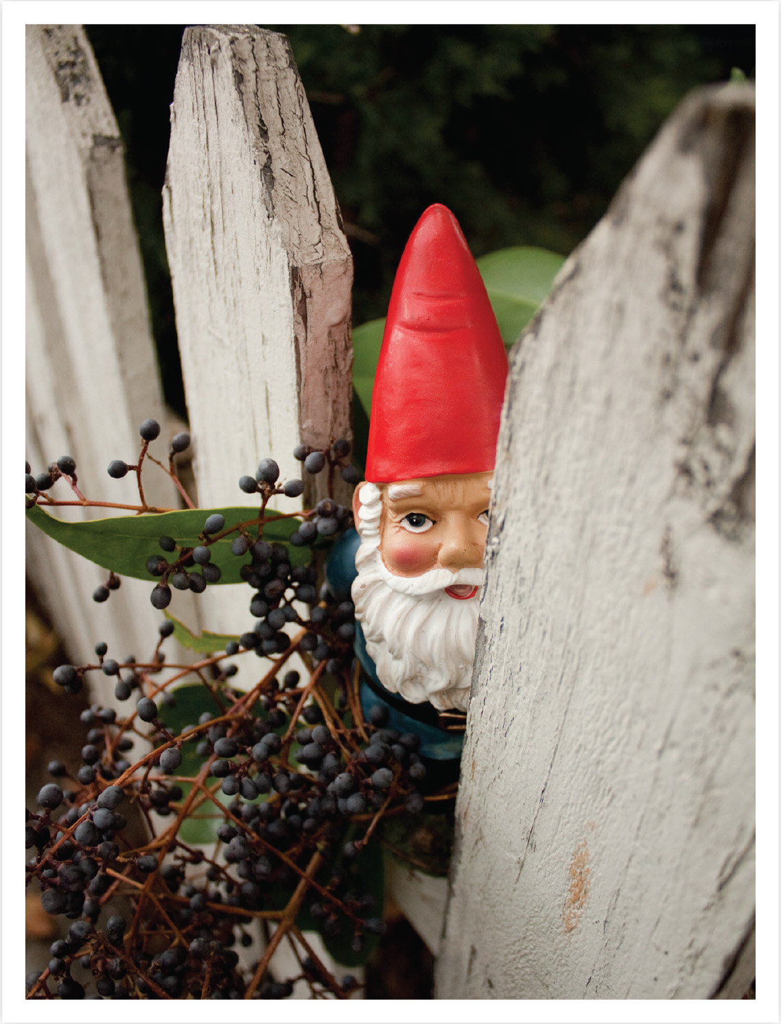 How to survive a garden gnome attack defend yourself when the lawn warriors strike and they will - photo 5