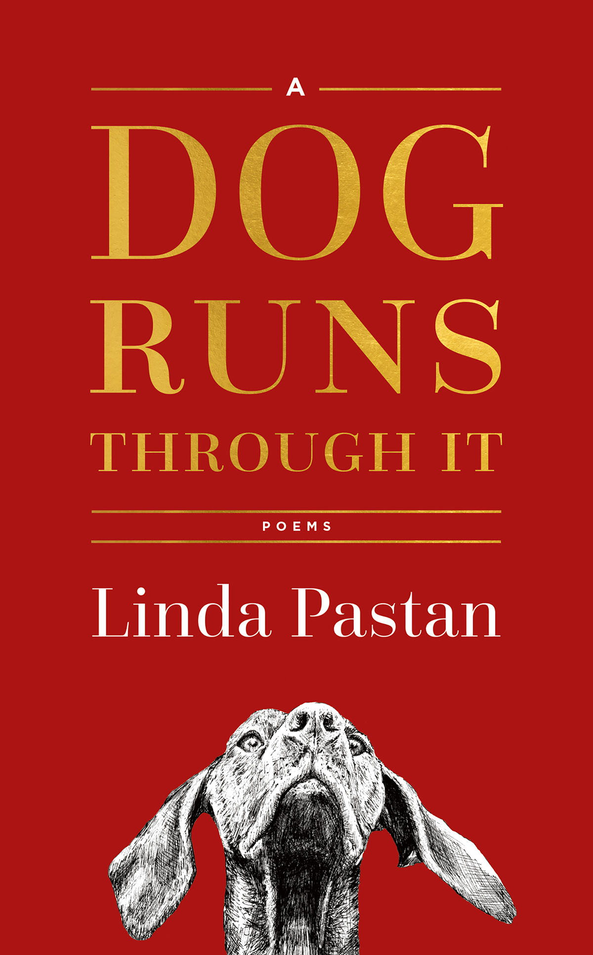 A DOG RUNS THROUGH IT Poems Linda Pastan Adjusting type size may change - photo 1