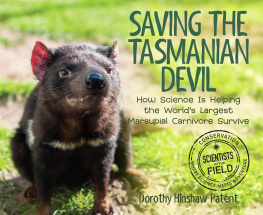 Patent Saving the Tasmanian Devil: How Science Is Helping Australias Largest Native Predator Survive