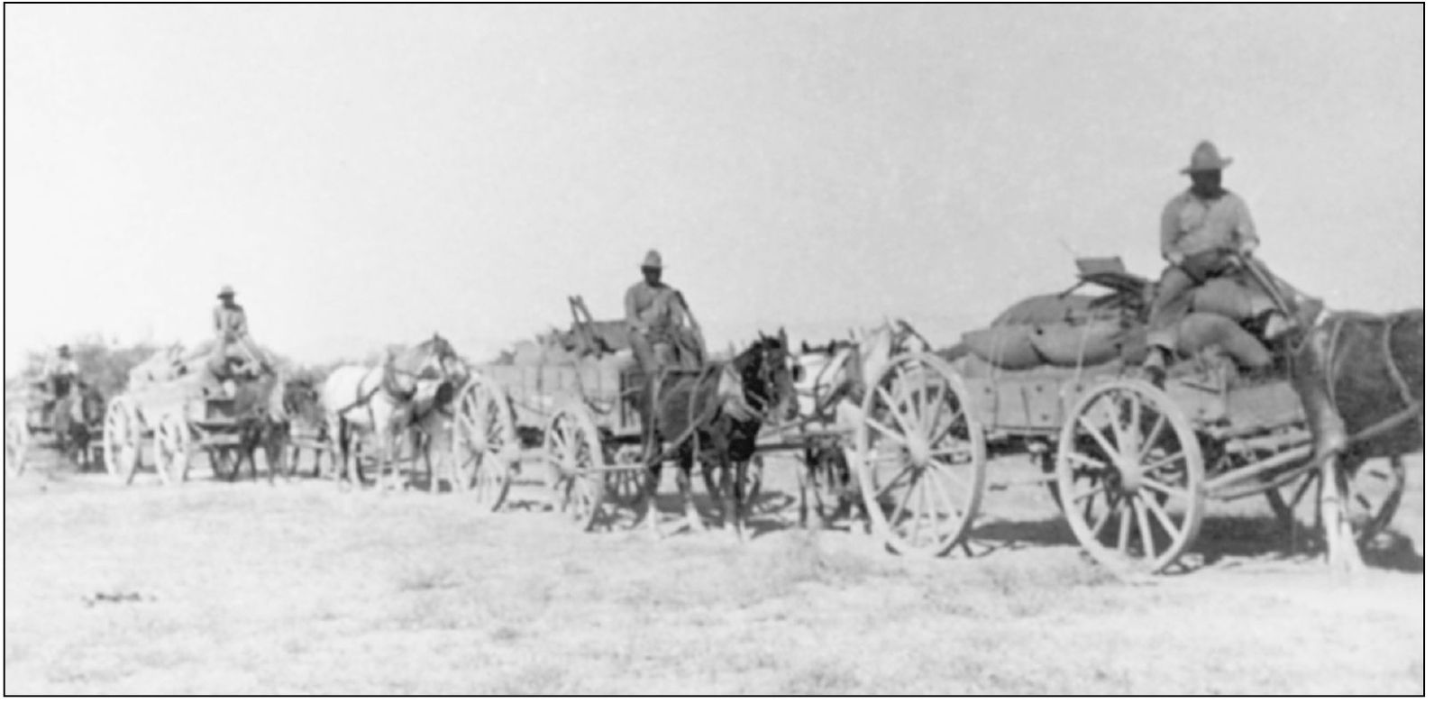 The Maricopas and Pimas farmed the lands adjacent to the Gila River and raised - photo 6