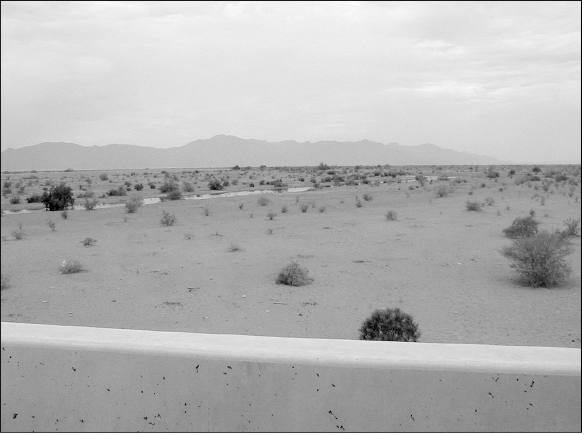 Before the dams diverted its waters the Gila River was one of only three - photo 7